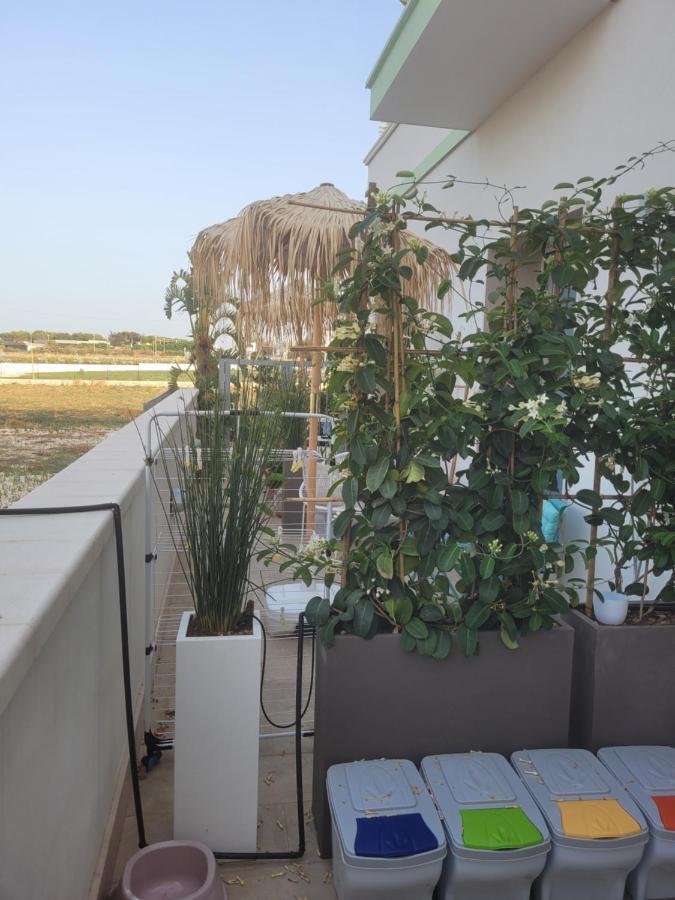 Cala Paradiso مونوبولي المظهر الخارجي الصورة