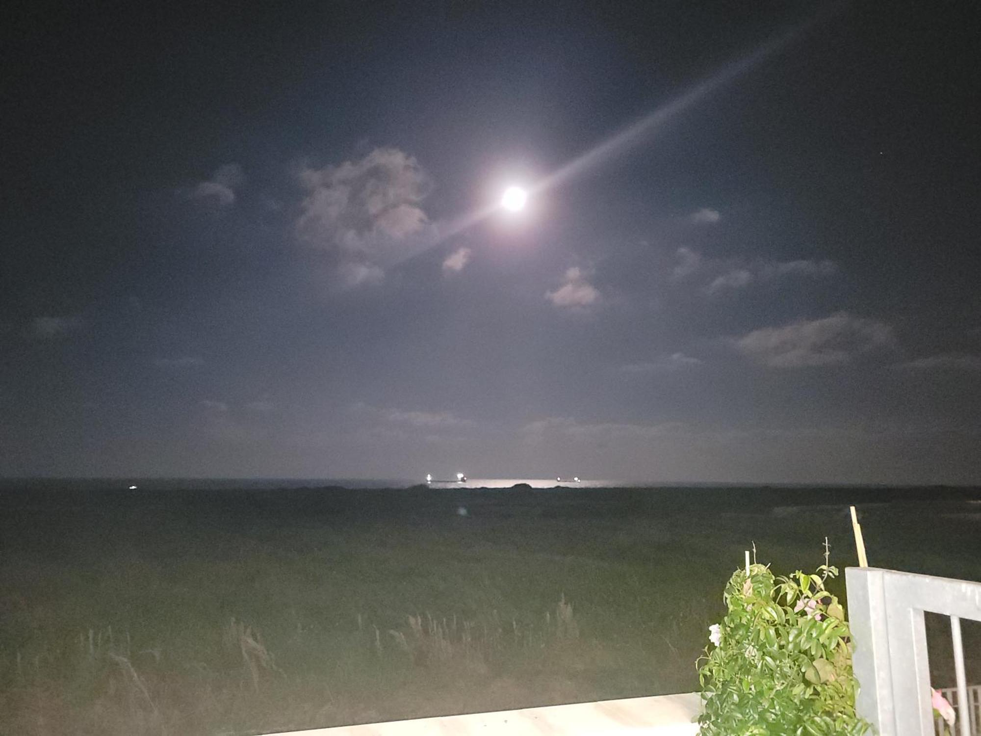 Cala Paradiso مونوبولي المظهر الخارجي الصورة
