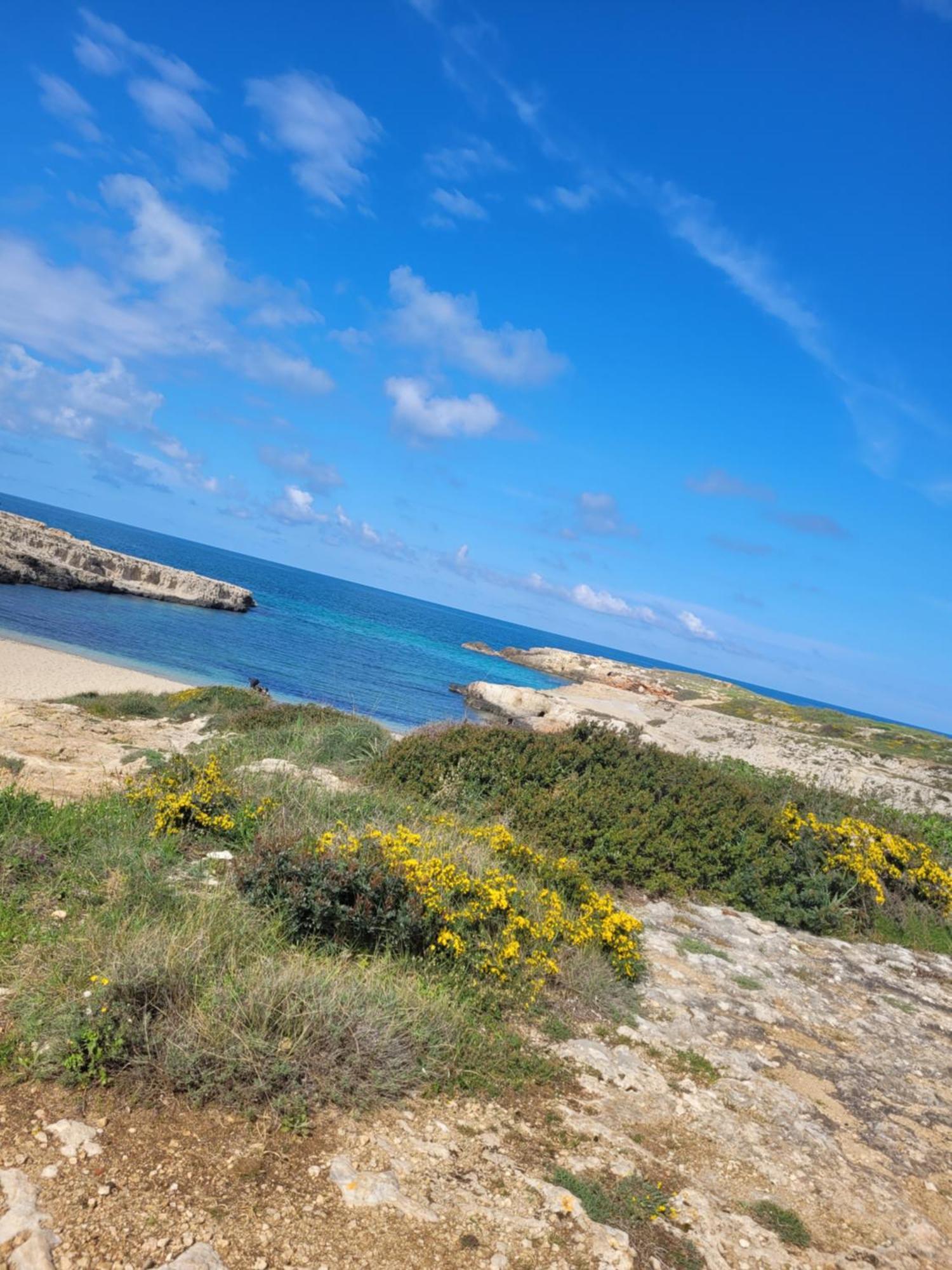 Cala Paradiso مونوبولي المظهر الخارجي الصورة