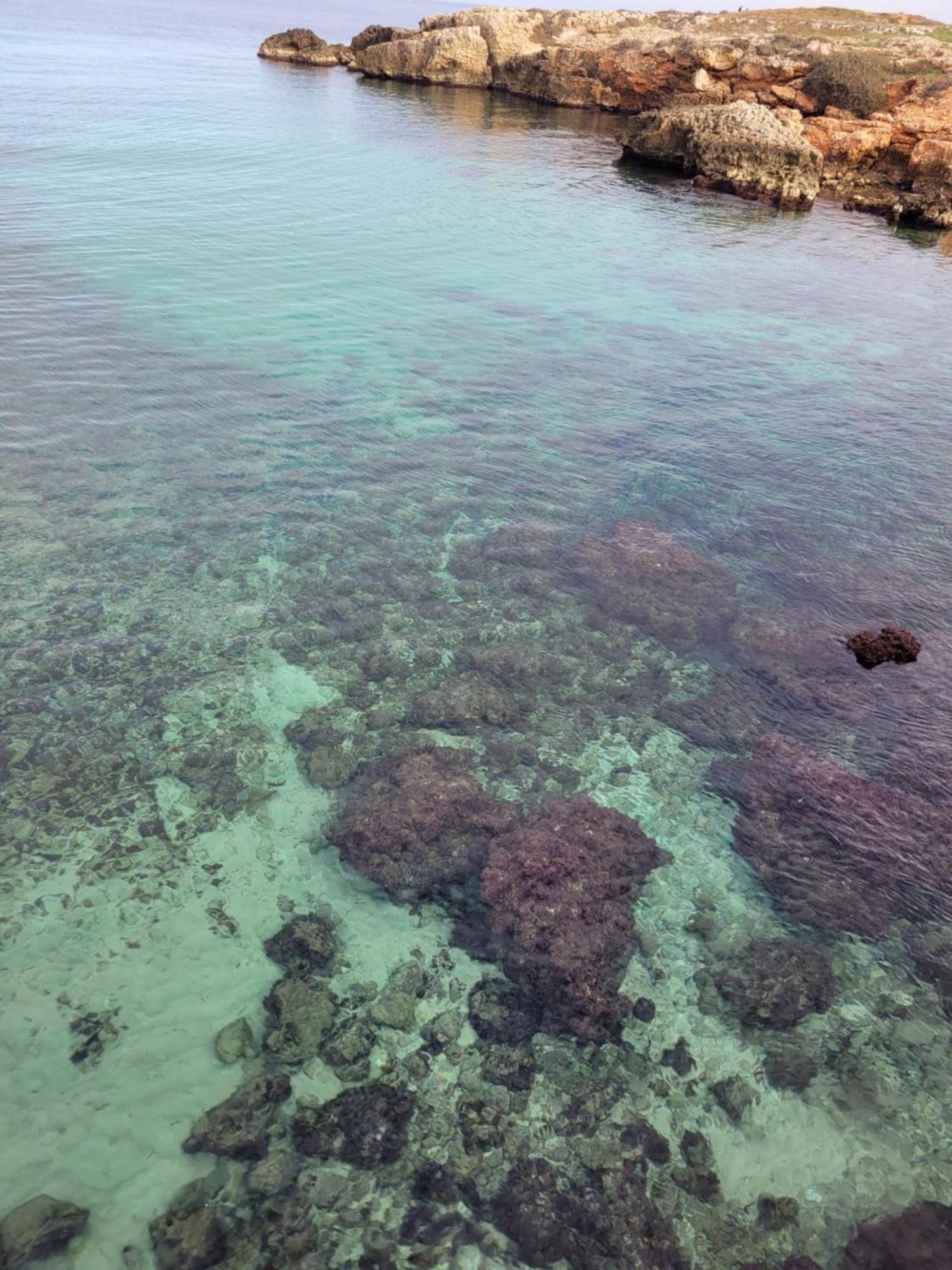 Cala Paradiso مونوبولي المظهر الخارجي الصورة