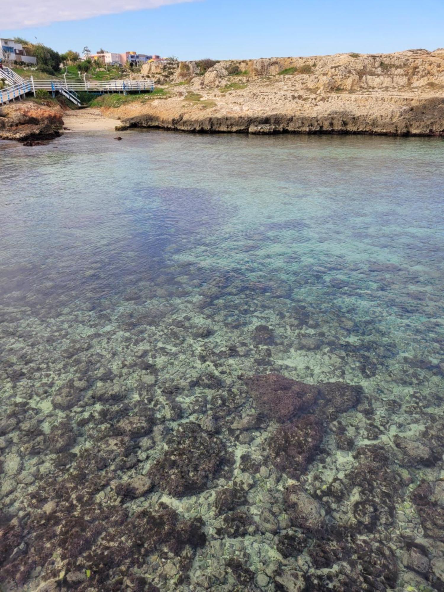 Cala Paradiso مونوبولي المظهر الخارجي الصورة