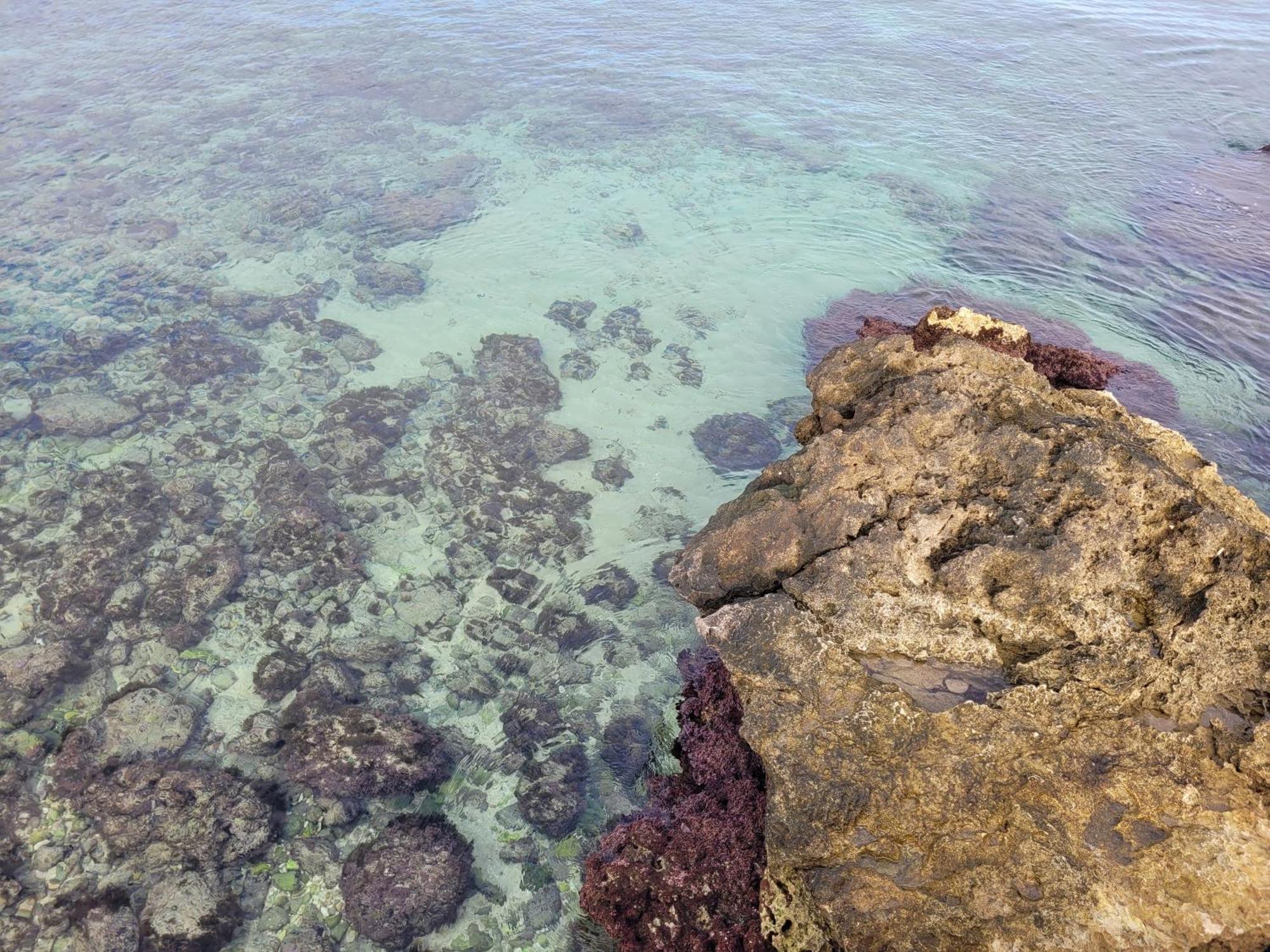 Cala Paradiso مونوبولي المظهر الخارجي الصورة