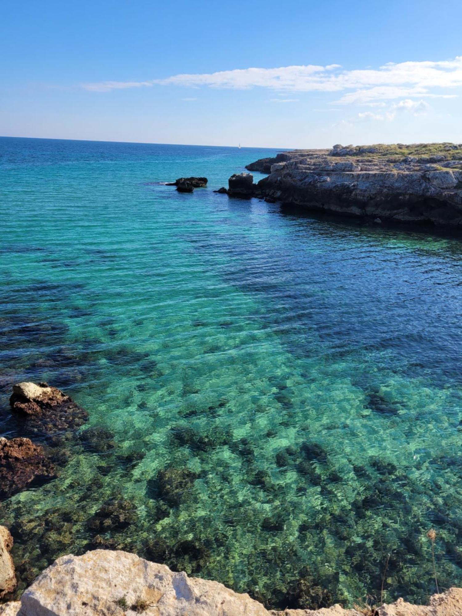 Cala Paradiso مونوبولي المظهر الخارجي الصورة